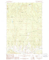 Thunderbolt Creek Montana Historical topographic map, 1:24000 scale, 7.5 X 7.5 Minute, Year 1985