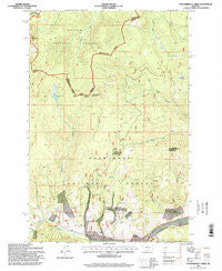 Thunderbolt Creek Montana Historical topographic map, 1:24000 scale, 7.5 X 7.5 Minute, Year 1996