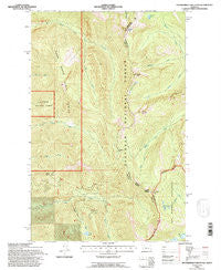 Thunderbolt Mountain Montana Historical topographic map, 1:24000 scale, 7.5 X 7.5 Minute, Year 1994