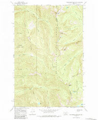 Thunderbolt Mountain Montana Historical topographic map, 1:24000 scale, 7.5 X 7.5 Minute, Year 1965