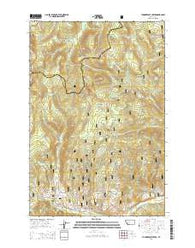 Thunderbolt Creek Montana Current topographic map, 1:24000 scale, 7.5 X 7.5 Minute, Year 2014