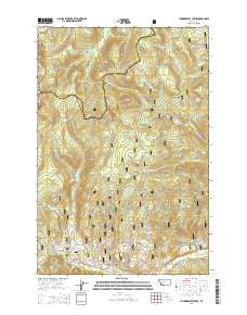 Thunderbolt Creek Montana Current topographic map, 1:24000 scale, 7.5 X 7.5 Minute, Year 2014
