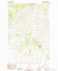 Tiger Butte Montana Historical topographic map, 1:24000 scale, 7.5 X 7.5 Minute, Year 1984