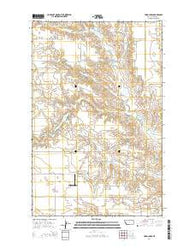 Todd Lakes Montana Current topographic map, 1:24000 scale, 7.5 X 7.5 Minute, Year 2014