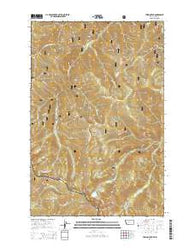 Torino Peak Montana Current topographic map, 1:24000 scale, 7.5 X 7.5 Minute, Year 2014