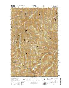 Torino Peak Montana Current topographic map, 1:24000 scale, 7.5 X 7.5 Minute, Year 2014