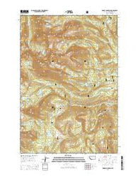 Torrey Mountain Montana Current topographic map, 1:24000 scale, 7.5 X 7.5 Minute, Year 2014