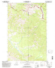 Trap Mountain Montana Historical topographic map, 1:24000 scale, 7.5 X 7.5 Minute, Year 1994