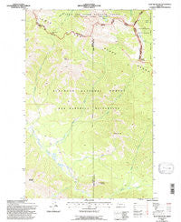 Trap Mountain Montana Historical topographic map, 1:24000 scale, 7.5 X 7.5 Minute, Year 1994