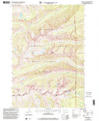 Trapper Peak Montana Historical topographic map, 1:24000 scale, 7.5 X 7.5 Minute, Year 1998