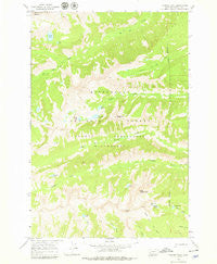 Trapper Peak Montana Historical topographic map, 1:24000 scale, 7.5 X 7.5 Minute, Year 1964