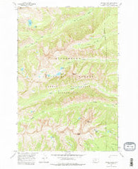 Trapper Peak Montana Historical topographic map, 1:24000 scale, 7.5 X 7.5 Minute, Year 1964