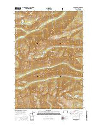 Trapper Peak Montana Current topographic map, 1:24000 scale, 7.5 X 7.5 Minute, Year 2014