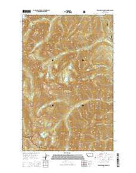 Treasure Mountain Montana Current topographic map, 1:24000 scale, 7.5 X 7.5 Minute, Year 2014