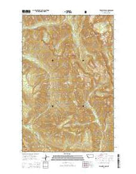 Trilobite Peak Montana Current topographic map, 1:24000 scale, 7.5 X 7.5 Minute, Year 2014