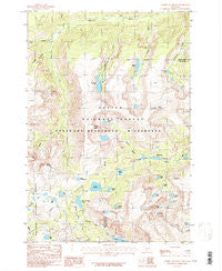 Tumble Mountain Montana Historical topographic map, 1:24000 scale, 7.5 X 7.5 Minute, Year 1986