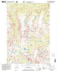 Tumble Mountain Montana Historical topographic map, 1:24000 scale, 7.5 X 7.5 Minute, Year 1996