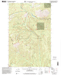 Turner Mountain Montana Historical topographic map, 1:24000 scale, 7.5 X 7.5 Minute, Year 1997