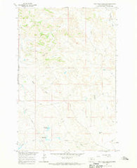 Twin Forks Reservoir Montana Historical topographic map, 1:24000 scale, 7.5 X 7.5 Minute, Year 1967
