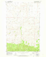 Twin Sisters Montana Historical topographic map, 1:24000 scale, 7.5 X 7.5 Minute, Year 1970