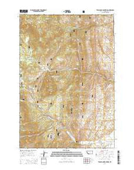 Twin Adams Mountain Montana Current topographic map, 1:24000 scale, 7.5 X 7.5 Minute, Year 2014