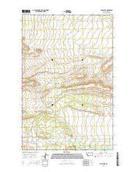 Twin Lakes Montana Current topographic map, 1:24000 scale, 7.5 X 7.5 Minute, Year 2014