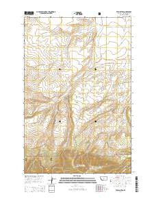 Twin Sisters Montana Current topographic map, 1:24000 scale, 7.5 X 7.5 Minute, Year 2014