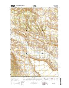 Tyler Montana Current topographic map, 1:24000 scale, 7.5 X 7.5 Minute, Year 2014