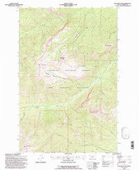 Una Mountain Montana Historical topographic map, 1:24000 scale, 7.5 X 7.5 Minute, Year 1994