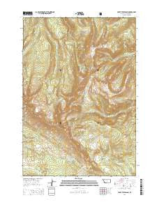 Upper Tepee Basin Montana Current topographic map, 1:24000 scale, 7.5 X 7.5 Minute, Year 2014