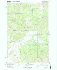 Virginia Peak Montana Historical topographic map, 1:24000 scale, 7.5 X 7.5 Minute, Year 1972