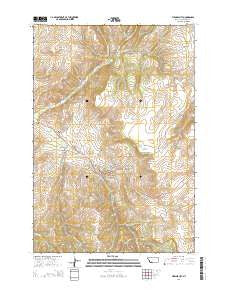 Virginia City Montana Current topographic map, 1:24000 scale, 7.5 X 7.5 Minute, Year 2014