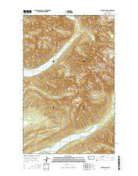 Vulture Peak Montana Current topographic map, 1:24000 scale, 7.5 X 7.5 Minute, Year 2014