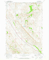 Wade Montana Historical topographic map, 1:24000 scale, 7.5 X 7.5 Minute, Year 1969
