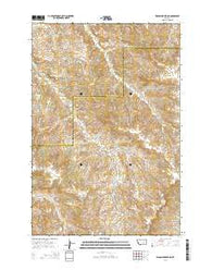 Wagon Box Spring Montana Current topographic map, 1:24000 scale, 7.5 X 7.5 Minute, Year 2014