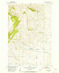 Wallrock Montana Historical topographic map, 1:24000 scale, 7.5 X 7.5 Minute, Year 1951