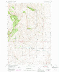 Wallrock Montana Historical topographic map, 1:24000 scale, 7.5 X 7.5 Minute, Year 1951