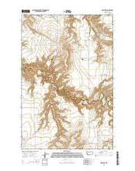 Waltham Montana Current topographic map, 1:24000 scale, 7.5 X 7.5 Minute, Year 2014