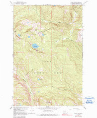 Wapiti Lake Montana Historical topographic map, 1:24000 scale, 7.5 X 7.5 Minute, Year 1965