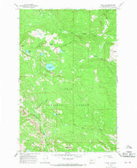 Wapiti Lake Montana Historical topographic map, 1:24000 scale, 7.5 X 7.5 Minute, Year 1965