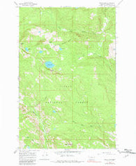 Wapiti Lake Montana Historical topographic map, 1:24000 scale, 7.5 X 7.5 Minute, Year 1965