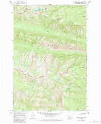 Ward Mountain Montana Historical topographic map, 1:24000 scale, 7.5 X 7.5 Minute, Year 1964