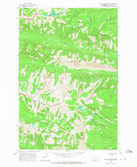 Ward Mountain Montana Historical topographic map, 1:24000 scale, 7.5 X 7.5 Minute, Year 1964