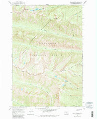 Ward Mountain Montana Historical topographic map, 1:24000 scale, 7.5 X 7.5 Minute, Year 1964