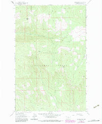 Warland Peak Montana Historical topographic map, 1:24000 scale, 7.5 X 7.5 Minute, Year 1963
