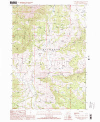 Warm Springs Creek Montana Historical topographic map, 1:24000 scale, 7.5 X 7.5 Minute, Year 1988