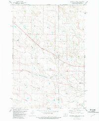 Waterhole Creek Montana Historical topographic map, 1:24000 scale, 7.5 X 7.5 Minute, Year 1981