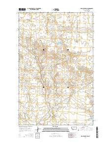 Wayne Creek NW Montana Current topographic map, 1:24000 scale, 7.5 X 7.5 Minute, Year 2014