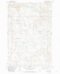 Webster NW Montana Historical topographic map, 1:24000 scale, 7.5 X 7.5 Minute, Year 1981