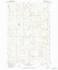Webster Montana Historical topographic map, 1:24000 scale, 7.5 X 7.5 Minute, Year 1981